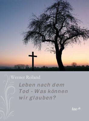 Leben nach dem Tod – Was können wir glauben? von Reiland,  Werner