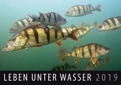 Leben unter Wasser 2019 von Quelle & Meyer Verlag