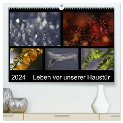 Leben vor unserer Haustür (hochwertiger Premium Wandkalender 2024 DIN A2 quer), Kunstdruck in Hochglanz von Almut Eberhardt,  Dr.