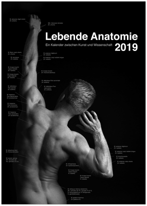 Lebende Anatomie 2019 von Valentin,  Sophie, Voigtländer,  Sten Hannes