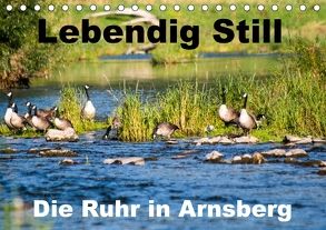 Lebendig Still – Die Ruhr in Arnsberg (Tischkalender 2018 DIN A5 quer) von CM