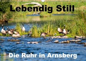 Lebendig Still – Die Ruhr in Arnsberg (Wandkalender 2018 DIN A3 quer) von CM