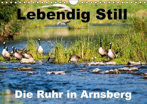 Lebendig Still – Die Ruhr in Arnsberg (Wandkalender 2018 DIN A4 quer) von CM