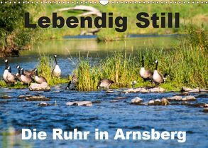 Lebendig Still – Die Ruhr in Arnsberg (Wandkalender 2019 DIN A3 quer) von CM