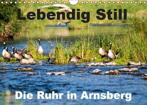 Lebendig Still – Die Ruhr in Arnsberg (Wandkalender 2019 DIN A4 quer) von CM