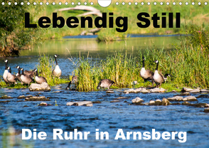 Lebendig Still – Die Ruhr in Arnsberg (Wandkalender 2020 DIN A4 quer) von CM