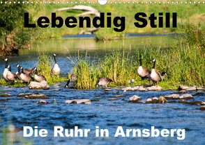 Lebendig Still – Die Ruhr in Arnsberg (Wandkalender 2022 DIN A3 quer) von CM