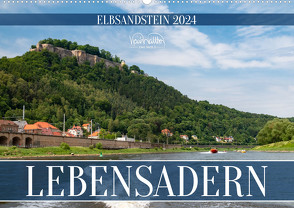 Lebensadern – Elbsandstein (Wandkalender 2024 DIN A2 quer), CALVENDO Monatskalender von Walther,  Kevin