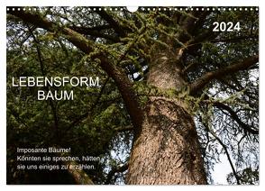 Lebensform Baum (Wandkalender 2024 DIN A3 quer), CALVENDO Monatskalender von Gaudig,  Marlise