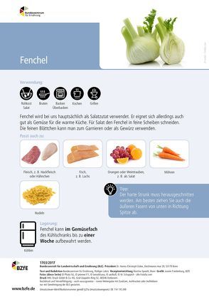 Lebensmittel-Infoblatt: Fenchel von Lobitz,  Rüdiger, Spaeth,  Martina