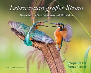 Lebensraum großer Strom von Dörfler,  Ernst Paul, Hinsche,  Thomas