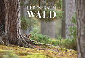 Lebensraum Wald 2021 – 49,5×34 cm – Forest – Landschaft – Natur – Wand-Kalender – Alpha Edition