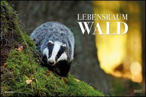 Lebensraum Wald 2023 – Bildkalender 49,5×33 cm – Tiere und Pflanzen in unseren heimischen Wäldern – Wandkalender – Wandplaner – Tierkalender