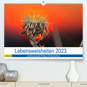 Lebensweisheiten 2023 (Premium, hochwertiger DIN A2 Wandkalender 2023, Kunstdruck in Hochglanz) von Fotogalerie,  Michis