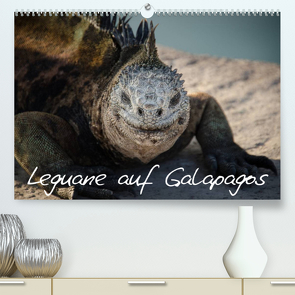 Leguane auf Galapagos (Premium, hochwertiger DIN A2 Wandkalender 2023, Kunstdruck in Hochglanz) von Binder,  Ralph