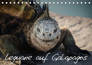 Leguane auf Galapagos (Tischkalender 2023 DIN A5 quer) von Binder,  Ralph