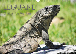 Leguane – Einzigartige Reptilien (Wandkalender 2023 DIN A3 quer) von Hornecker,  Frank