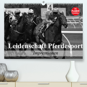 Leidenschaft Pferdesport – Impressionen (Premium, hochwertiger DIN A2 Wandkalender 2022, Kunstdruck in Hochglanz) von Stanzer,  Elisabeth