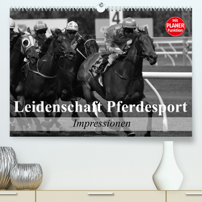 Leidenschaft Pferdesport – Impressionen (Premium, hochwertiger DIN A2 Wandkalender 2023, Kunstdruck in Hochglanz) von Stanzer,  Elisabeth