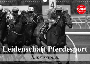 Leidenschaft Pferdesport – Impressionen (Wandkalender 2023 DIN A3 quer) von Stanzer,  Elisabeth