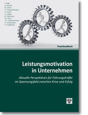 Leistungsmotivation in Unternehmen von Balik,  Franz, Diwald,  Bernhard, Ebner,  Maria, Gumpetsberger,  Andreas, Hasch,  Alexander, Laaber,  Hubert, Obermayr,  Norbert, Ofner,  Michael, Schreiberhuber,  Christian, Schützinger,  Harald, Stadlbauer,  Helmut