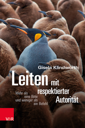 Leiten mit respektierter Autorität von Klindworth,  Gisela, von Schlippe,  Arist