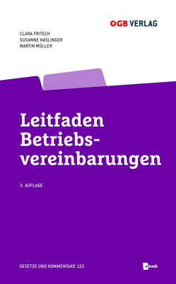 Leitfaden Betriebsvereinbarungen von Fritsch,  Clara, Haslinger,  Susanne, Müller,  Martin