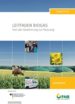 Leitfaden Biogas