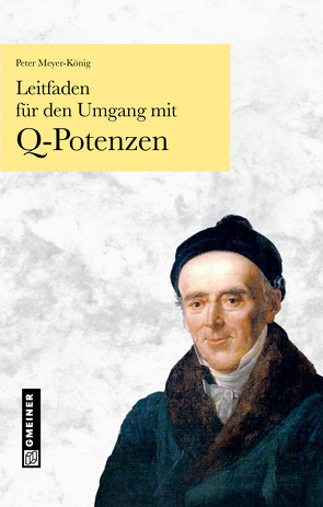 Leitfaden für den Umgang mit Q-Potenzen von Meyer-König,  Peter