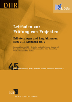 Leitfaden zur Prüfung von Projekten von Düsterwald,  Robert, Fries-Palm,  Susanne, Peis,  Michael, Schwarz,  Ulrich, Trinkaus,  Kai