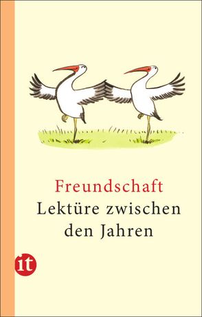 Lektüre zwischen den Jahren 2013 von Insel Verlag