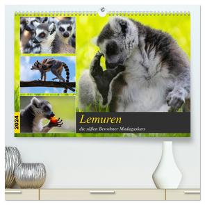 Lemuren die süßen Bewohner Madagaskars (hochwertiger Premium Wandkalender 2024 DIN A2 quer), Kunstdruck in Hochglanz von Riedel,  Tanja