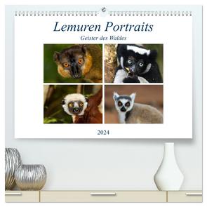 Lemuren Portraits (hochwertiger Premium Wandkalender 2024 DIN A2 quer), Kunstdruck in Hochglanz von Markolf,  Matthias