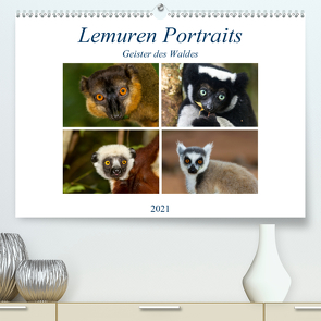 Lemuren Portraits (Premium, hochwertiger DIN A2 Wandkalender 2021, Kunstdruck in Hochglanz) von Markolf,  Matthias