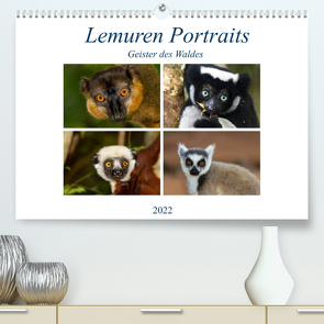 Lemuren Portraits (Premium, hochwertiger DIN A2 Wandkalender 2022, Kunstdruck in Hochglanz) von Markolf,  Matthias