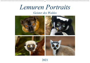 Lemuren Portraits (Wandkalender 2021 DIN A2 quer) von Markolf,  Matthias