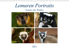 Lemuren Portraits (Wandkalender 2021 DIN A3 quer) von Markolf,  Matthias