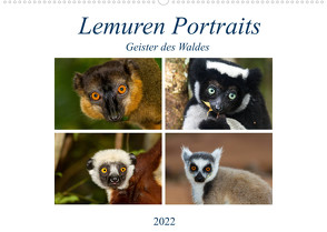 Lemuren Portraits (Wandkalender 2022 DIN A2 quer) von Markolf,  Matthias