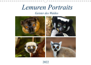 Lemuren Portraits (Wandkalender 2022 DIN A3 quer) von Markolf,  Matthias