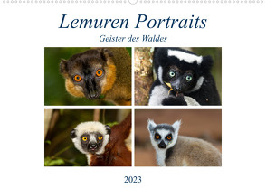 Lemuren Portraits (Wandkalender 2023 DIN A2 quer) von Markolf,  Matthias