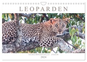 Leoparden – Geheimnisvolle Jäger (Wandkalender 2024 DIN A4 quer), CALVENDO Monatskalender von Lippmann,  Andreas