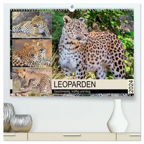 Leoparden. Geschmeidig, kräftig und klug (hochwertiger Premium Wandkalender 2024 DIN A2 quer), Kunstdruck in Hochglanz von Hurley,  Rose