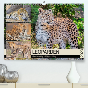 Leoparden. Geschmeidig, kräftig und klug (Premium, hochwertiger DIN A2 Wandkalender 2023, Kunstdruck in Hochglanz) von Hurley,  Rose