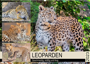 Leoparden. Geschmeidig, kräftig und klug (Wandkalender 2023 DIN A2 quer) von Hurley,  Rose