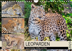 Leoparden. Geschmeidig, kräftig und klug (Wandkalender 2023 DIN A4 quer) von Hurley,  Rose