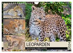 Leoparden. Geschmeidig, kräftig und klug (Wandkalender 2024 DIN A4 quer), CALVENDO Monatskalender von Hurley,  Rose