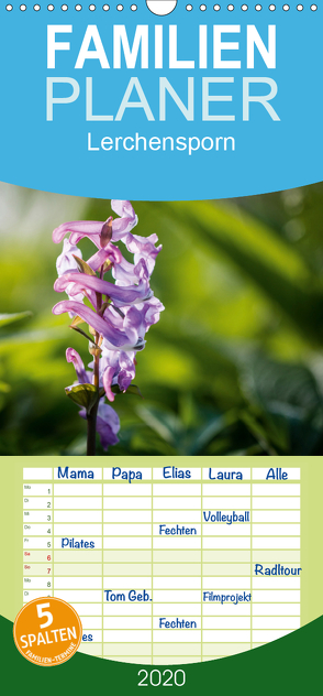 Lerchensporn – Familienplaner hoch (Wandkalender 2020 , 21 cm x 45 cm, hoch) von Rasche,  Marlen