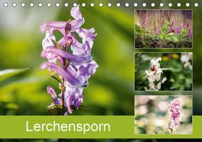 Lerchensporn (Tischkalender 2019 DIN A5 quer) von Rasche,  Marlen