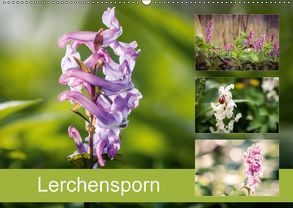 Lerchensporn (Wandkalender 2018 DIN A2 quer) von Rasche,  Marlen