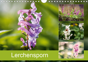 Lerchensporn (Wandkalender 2020 DIN A4 quer) von Rasche,  Marlen